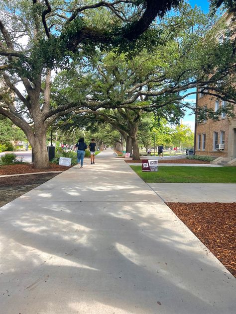 Tamu Aesthetic, Campus Life, Aesthetic College Campus, Texas Southern University Aesthetic, Jipmer Puducherry College, Beautiful College Campus, Texas A&m Campus, Mit University Campus, Campus Aesthetic