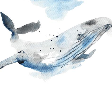 Whale Watercolor, Whale Pictures, Beluga Whales, Whale Art Print, Artist Pencils, Watercolor Whale, Beluga Whale, Whale Art, Whale Print