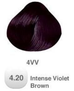 Deb Hair, Pelo Color Borgoña, Pravana Hair Color, Purple Hair Color, Dark Purple Hair, Violet Brown, Plum Hair, Brown Image, Vivid Hair Color