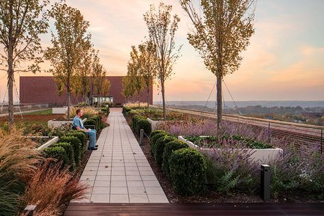 Cincinnati Skyline, Healthcare Architecture, Healing Garden, Rooftop Design, Hospital Interior, Flat Logo, Hospital Design, Healthcare Design, Rooftop Garden