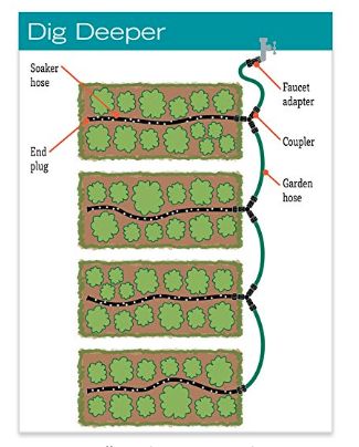 Soaker Hose Irrigation, Garden Rows, Survival Garden, Soaker Hose, Vertical Vegetable Garden, Drip Irrigation System, Survival Gardening, Home Vegetable Garden, Drip Irrigation