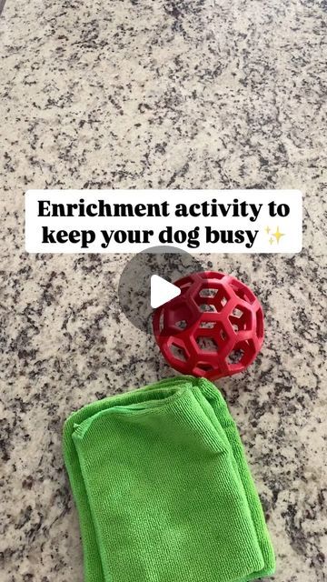 Easy Enrichment For Dogs, Easy Dog Enrichment, Easy Dog Tricks To Teach, Things To Make For Dogs, Canine Enrichment Ideas, Dog Tips Pet Care, Enrichment Activities For Dogs, Easy Tricks To Teach Your Dog, Diy Dog Enrichment Toys