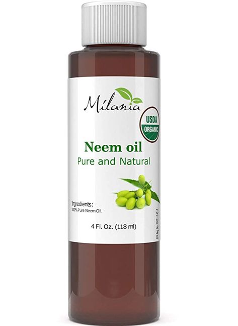 Amazon.com : MILANIA Premium Organic Neem Oil Virgin, Cold Pressed, Unrefined 100% Pure Natural Grade A. Excellent Quality.(4 Fl. Oz.) : Beauty & Personal Care Lilac Tree, Treat Acne, Neem Oil, Ayurvedic Medicine, Beauty Body, Indoor Plant, Cold Pressed, Home Remedies, Body Care