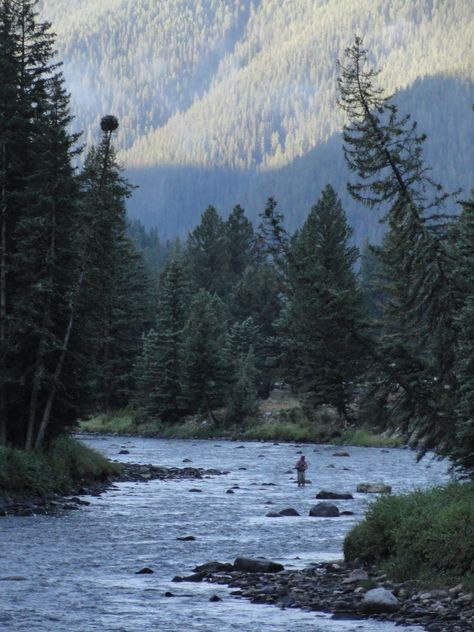 Watching for fish on the Gallatin River Big Sky Montana Gallatin River Montana, Montana Fishing, Grizzly Bears, Big Sky Montana, Big River, Bozeman Montana, Big Sky Country, Camping Tips, Camping Experience