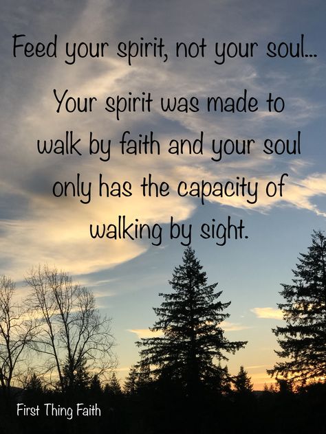 Feed your spirit, not your soul...feeding your spirit fills you, feeding your soul will never fill your empty places. Spirit Filled Quotes, Feeding Your Soul, Feeding Your Soul Quotes, Spirit 2 Geist, Spirit Tattoo Horse Quote, Feed Your Soul, Walk By Faith, Walking By, Jesus