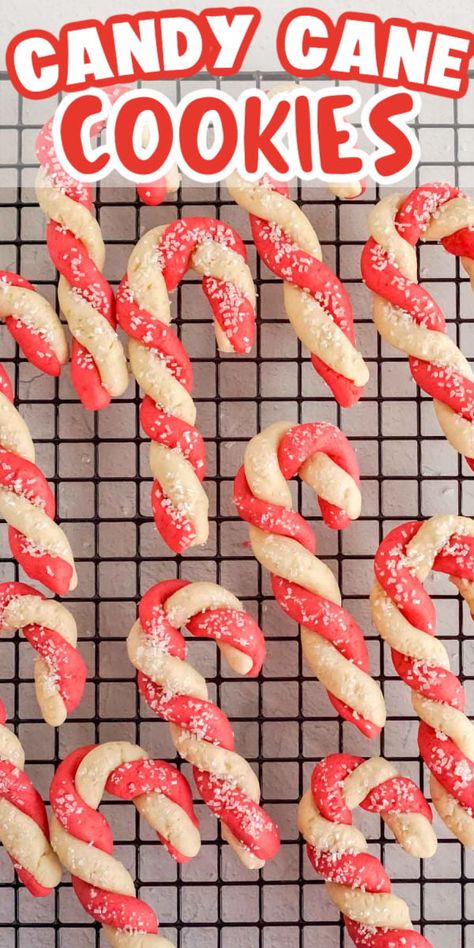 These fun candy cane sugar cookies are the most festive Christmas cookies! Candy Cane Sugar Cookies, Easy Sugar Cookie Dough, Festive Christmas Cookies, Candy Cane Cookie Recipe, Christmas Cookie Recipes Holiday, Simple Sugar, Candy Cane Cookies, Party Plan, Sugar Cookie Dough