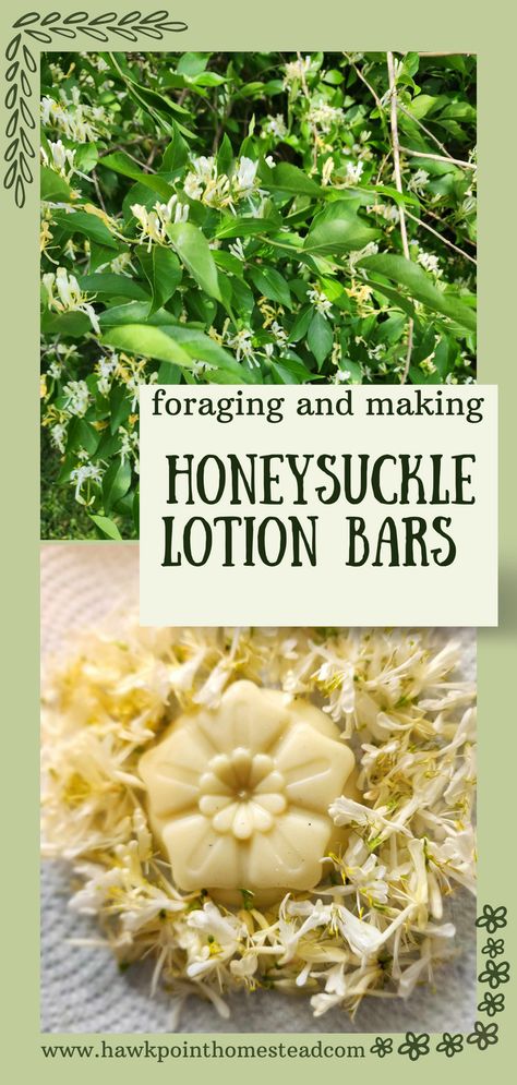 Foraging is so fun and beneficial. It is a wonder just how many weeds, flowers and herbs offer so many benefits. Honeysuckle is very prolific in the late spring and early summer. The honeysuckle blossoms are very delicate flowers and the scent of honeysuckle is so fragrant. This recipe for how to make this all homemade honeysuckle lotion bar only takes a few simple ingredients and is easy to make. The recipe makes luxurious lotion bars with great benefits for the skin. Honeysuckle Salve Recipe, Honeysuckle Recipes, Herbal Salve Recipes, Homemade Lotion Bars, Lotion Bars Recipe, Herbal Remedies Recipes, Lavender Lotion, Salve Recipes, Herbal Salves