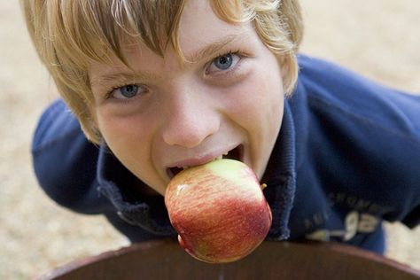 Halloween Games For Toddlers  - Apple Bobbing Diy Halloween Party Games, Diy Halloween Party, Fun Halloween Party Games, Fun Halloween Games, Halloween Scavenger Hunt, Bobbing For Apples, Diy Halloween Games, Halloween Fest, Halloween Games For Kids