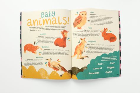 Children's illustration spread in Krayon Magazine by Eliott Bulpett. Activity page about baby animals. #childrensillustration #kidsbook #editorialillustration #bookdesign ##childrensmagazine #illustration Booklet Layout Design, Kids Magazine Design, Writing Kids Books, Children's Book Layout, Cat Graphic Design, Book Illustration Layout, Animals And People, Kids Magazine, 잡지 레이아웃