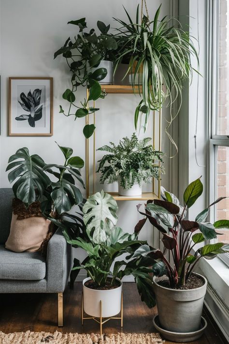 Ensure your apartment plants thrive by choosing the right potting mix with these helpful tips. #ApartmentPlants #PottingMix Corner Decor Living Room, Plant Living Room Aesthetic, Plant Interior Design, Sunny Living Room, Plant Decor Living Room, Living Room Plants Decor, Living Room Interior Design Ideas, Room Interior Design Ideas, Indoor Plants Styling