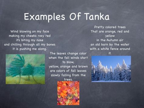 Tanka poems Tanka Poem Examples, Poem Examples, Tanka Poem, Teaching Poetry, White Fence, Zebra Stripes, Old Barn, Hello Friend, Red Yellow