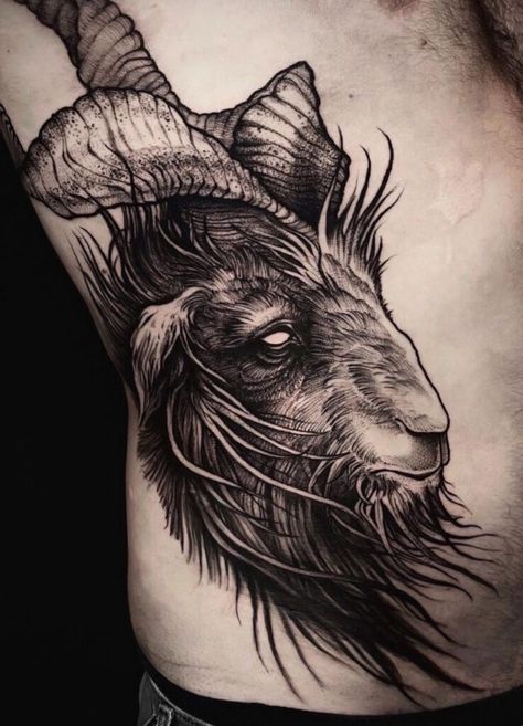 Goat Knee Tattoo, 2 Headed Animals Tattoo, Goat Skull Tattoo, Panther Skull, Goat Tattoos, Ambition Tattoo, Black Philip, Black Sheep Tattoo, Goat Tattoo