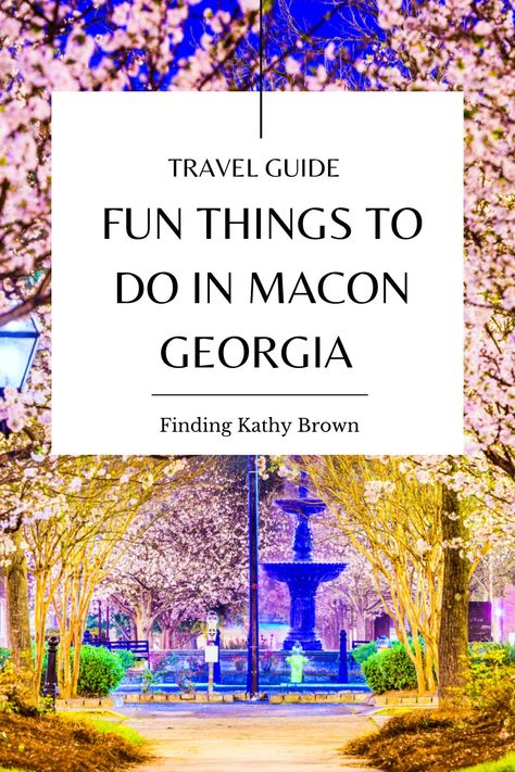 Macon is one of those secret gems in the heart of Georgia worth a weekend visit. Today let’s explore some of Macon’s best attractions and ways to make your stay memorable. Macon Georgia Things To Do In, Explore Georgia, Gorges State Park, Visit Georgia, Macon Georgia, Georgia Vacation, Best Christmas Lights, Travel Infographic, Popular Travel Destinations