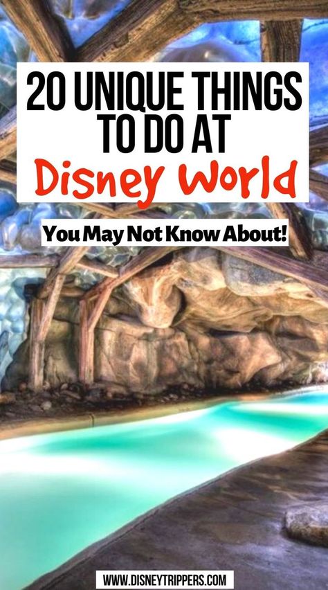 Unique Things to do at Disney World Disney Trip Surprise, Travel Vision Board, Disneyland Planning, Disney World Vacation Planning, Family Disney Trip, Disney Trip Planning, Disney Vacation Planning, Disney World Florida, Disney World Planning