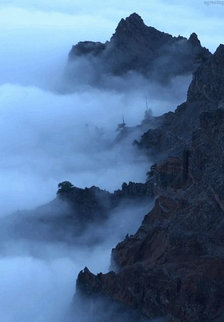 Fog Blowing from Mountain Gif - Click on image to see animation Gif Pictures, Alam Yang Indah, Images Gif, Amazing Nature, 그림 그리기, Nature Beauty, Mother Nature, Beautiful Nature, Beautiful Places