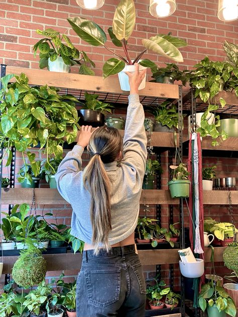 Plant Shop Photoshoot, Plant Shop Aesthetic, Plant Organization, Plant Shop Ideas, All About Myself, Reading Aesthetics, Plant Shops, San Diego Shopping, Spring Moodboard