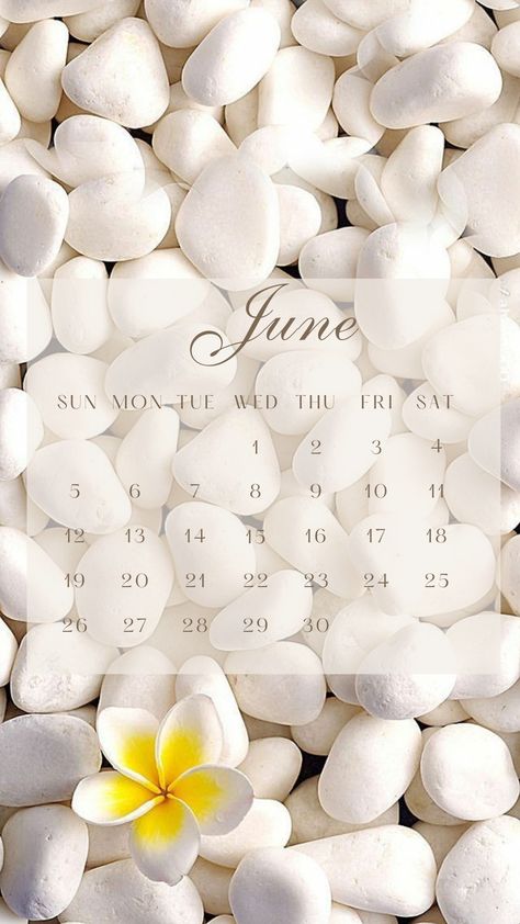 Calendar June, Emoji Wallpaper Iphone, Calendar Wallpaper, Winter Wallpaper, June 2022, Emoji Wallpaper, Social Life, Photography Poses, Phone Wallpaper