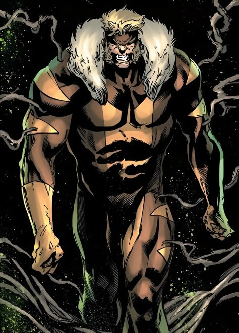 Sabretooth (Victor Creed) -  X MEN Sabretooth Marvel, Victor Creed, Aang The Last Airbender, Marvel Phases, Logan Wolverine, Marvel Villains, Dragon Rider, Man Character, Marvel Comics Art