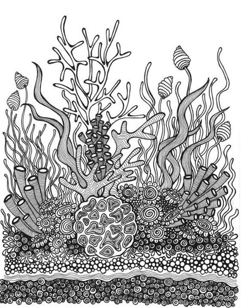 Beach Zentangle, Coral Reef Animals, Coral Reef Drawing, Coral Reef Color, Coloring Crafts, Ocean Coloring Pages, Ocean Plants, Zen Tangles, Coral Garden