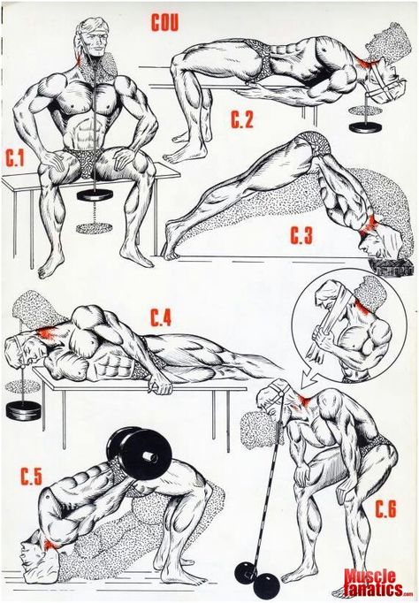 Neck Exercise Trening Sztuk Walki, Neck Exercises, Gym Workout Chart, Martial Arts Techniques, Gym Tips, Calisthenics Workout, Weight Training Workouts, Martial Arts Workout, Martial Arts Training