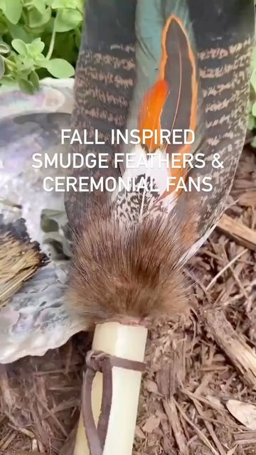 Tina Mazzara on Instagram: "Fall Inspired Smudge Feathers & Ceremonial Fans #loveandlightgiftscom #ceremonialtoolswithsoul" Smudge Feathers, Smudge Fans, Light Gifts, October 1, Wood Stone, Autumn Inspiration, Love And Light, Feathers, Fan