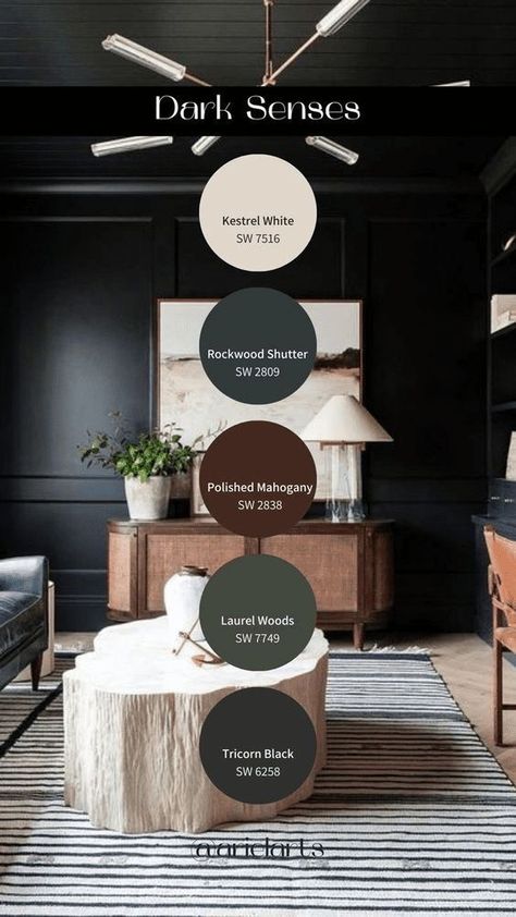 Paint Palettes, Moody Decor, Moody Interiors, House Color Palettes, Dark Home Decor, Dark Home, Color Palette Design, Take Risks, Paint Colors For Home