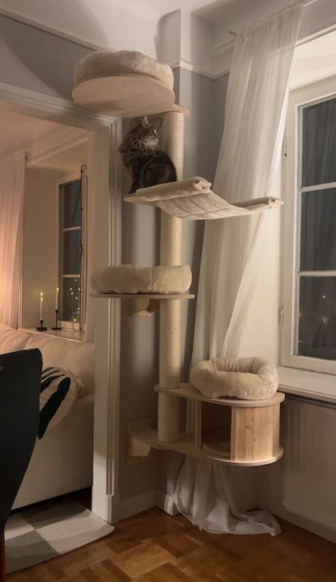 Natural Paradise Wall Scratching Tree - Magnolia Wall Furniture For Cats, Cat Items Aesthetic, Living Room Ideas With Cats, House With Cats Living Rooms, White Cat Tree, Japandi Cat Tree, Cat Eating Area, Catification Apartment, Cat Area In Bedroom