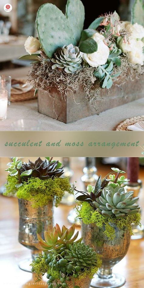 Top 23 Remarkable Rustic Wedding Centerpieces---succulent and moss Terrarium Ideas Wedding, Moss Succulent Centerpiece, Succulent Wedding Table Centerpieces, Eucalyptus And Succulent Wedding, Plant Wedding Centerpieces Potted, Moss And Succulent Centerpiece, Rustic Succulent Centerpiece, Succulent And Flower Arrangements, Succulent Centerpieces Party