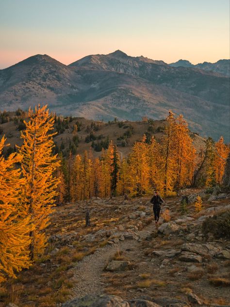 Went hiking in fall to find some yellow larches in the North Cascades of Washington during sunrise Pacific Northwest Fall, Pnw Fall Aesthetic, Hiking Aesthetic Fall, Fall Shuffle, Fall In Washington, Washington Fall, Pnw Fall, Pnw Vibes, Pnw Aesthetic