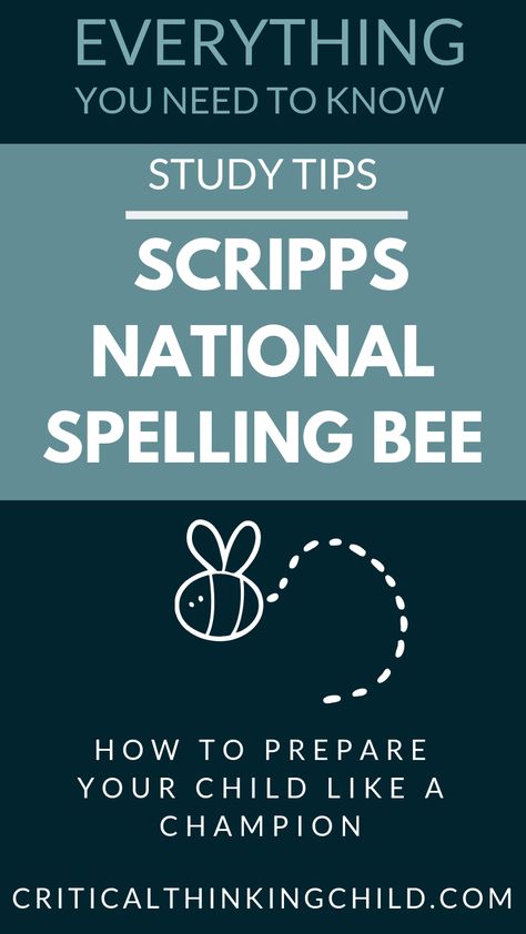 If your child hopes to reach a new level in next year’s school spelling bee, here are some study tips that parents need to know to prepare your child for the competition. #spellingbee, #contests #scripps #spelling Spelling Bee Study Tips, Spelling Bee Tips, Spelling Bee Ideas, Spelling Bee Practice, Spell Bowl, Spelling Bee Competition, Spelling Bee Word List, Spell Bee Competition, Spelling Bee Words