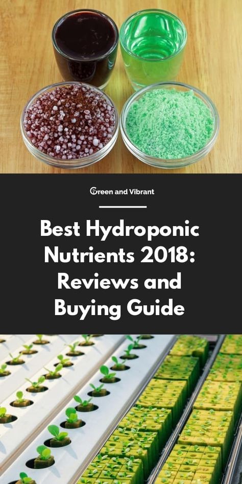 Hydroponic Nutrients, Indoor Hydroponic Gardening, Hydroponic Solution, Hydro Gardening, Hydroponic Gardening System, Hydroponic Grow Systems, Aquaponics Greenhouse, Hydroponic Farming, Hydroponics Diy