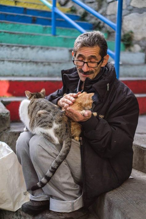 ITAP: Find yourself someone who will look and smile at you like this man looks and smiles at these street cats. Karaköy Istanbul Turkey Cat And Human, Men With Cats, Man Looks, Street Cat, Street Cats, Cat Wedding, Smiling Man, Cat People, Art Characters