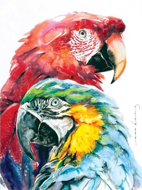 Colourful Animal Art, Macaw Parrot Drawing, Guinea Fowl Art, Parrot Watercolor, Sparrow Drawing, Thomas Saliot, Watercolour Birds, Colourful Watercolour, Birds Parrots