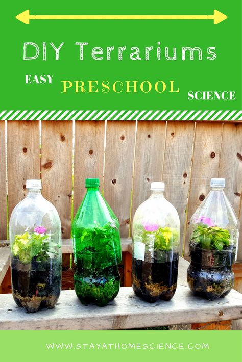 Terrarium Diy Kids, Bottle Terrarium, Preschool Garden, Planting For Kids, Plant Activities, Garden Activities, Theme Nature, Soda Bottle, Terrarium Diy