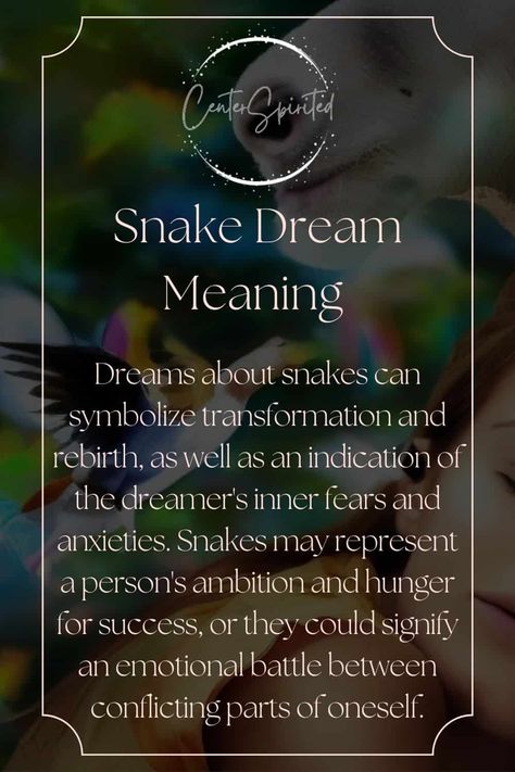 Dream Messages, Spiritual Animals, Dream Meaning, Dream Dictionary, Witch Spirituality, Dream Weaver, Trust Your Gut, Dream Symbols, Spirit Animals