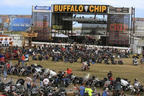 Tattoo Cafe, Sturgis Bike Week, Biker Party, Sturgis Rally, Sturgis Motorcycle Rally, Motorcycle Museum, Bike Rally, Motorcycle Events, Motorcycle Repair