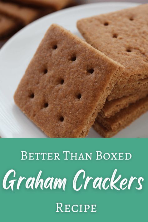 Graham Cracker Recipes, Biscuits Graham, Homemade Graham Crackers, Homemade Crackers, Tartar Sauce, Cracker Recipes, Homemade Snacks, Healthy Homemade, Bagels