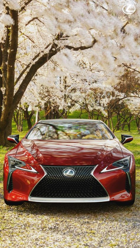 Our virtual photoshoot sets the sleek Lexus LC 500 against the backdrop of Kajo Park, which in real life is located in Yamagata Prefecture, a northern region of Japan. #Lexus #LexusLC #LC500 #SportsCar 
#SakuraSeason #Hanami #GTSport #FlowerViewing #imdadulhaquemillon Virtual Photoshoot, Lexus Sports Car, Lexus Sport, Lexus Vehicles, Audi Lamborghini, Lc 500, Lexus Lc500, Lexus Car, Sakura Season