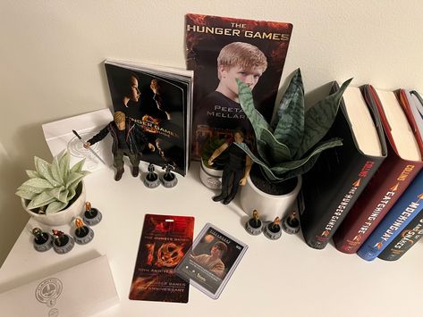 Hunger Games Bedroom, Hunger Games Room Decor, Hunger Games Decorations, Game Bedroom Ideas, Gaming Themed Bedroom, Games Room Decor, Hunger Games Peeta, Hunger Games Books, Peeta Mellark