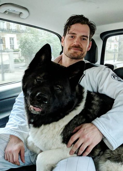 Henry Cavill and his dog Kal-El Henry Cavill Superman, Henry Superman, Superman Henry Cavill, Charles Brandon, Love Henry, American Akita, Henry Williams, The Tudors, Akita Dog