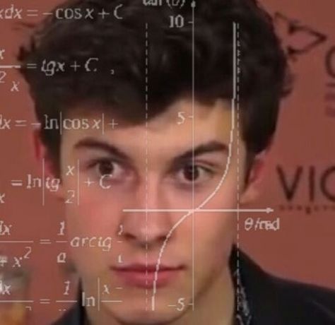 Shawn Mendes meme - reaction pic - sticker whatsapp Sticker Whatsapp, Shawn Mendes Funny, Shawn Mendes Memes, Reaction Pic, Shawn Mendes, Memes, Funny