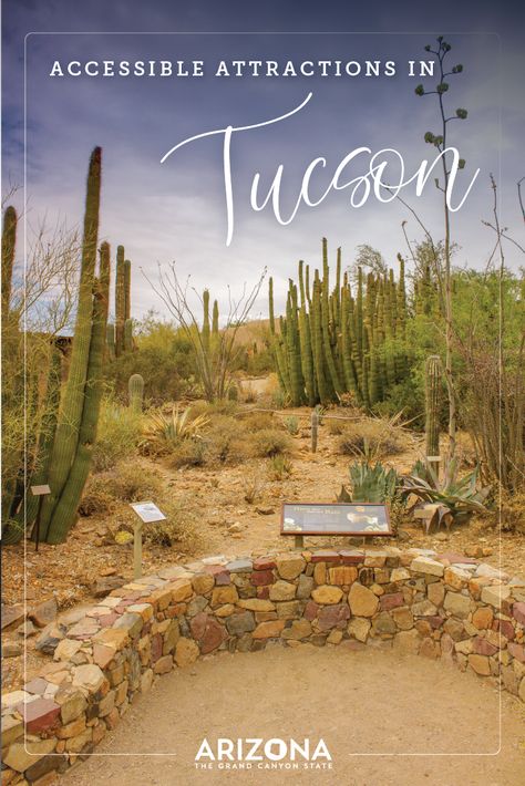 Tucson Hotels, Amazing 3d Tattoos, Sonora Desert, Wheel Chair, The University Of Arizona, State Of Arizona, 3d Tattoos, Air And Space Museum, Arizona Travel