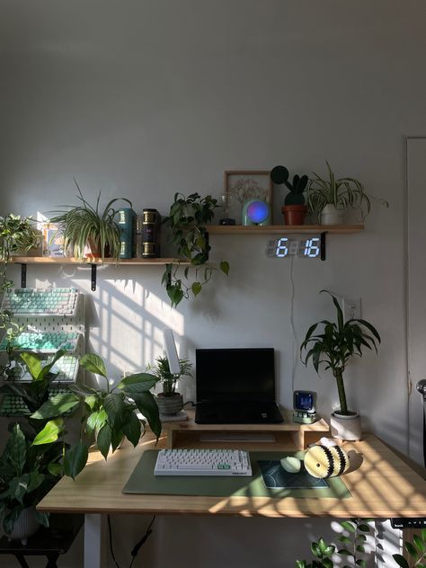 Golden hour at my desk 😁 Green And Brown Desk Setup, Brown Setup Gaming, Dark Brown Desk Aesthetic, Wooden Desk Setup, Earthy Desk, Dark Green Desk, Wfh Desk Setup, Natural Desk, Finals Motivation