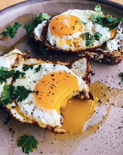 Sesame Oil Fried Egg Toast with Cilantro #feedfeed #recipe #egg #breakfast Fried Egg Toast, Eggs On Toast, Cilantro Recipes, Healthy Recipes Easy Snacks, Egg Toast, Fried Eggs, Dinner Appetizers, Healthy Snacks Easy, On Toast