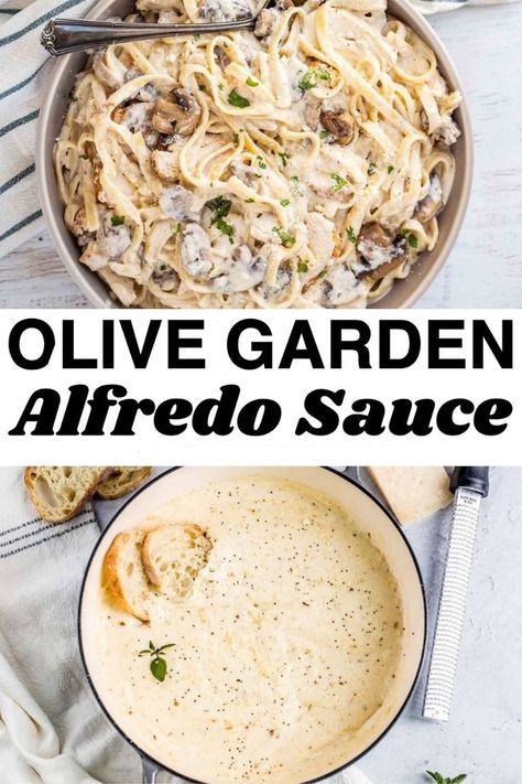 Alfredo Sauce Olive Garden, Italian White Sauce, Best Alfredo Sauce Recipe, Homemade Alfredo Sauce Recipe, Fettuccine Alfredo Sauce, Olive Garden Alfredo Sauce Recipe, Alfredo Sauce Easy, Olive Garden Alfredo, Olive Garden Alfredo Sauce