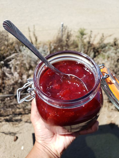 Guava Jam Recipe, Guava Jelly, Guava Recipes, Guava Paste, Guava Jam, This Is My Jam, Simple Dessert Recipes, Strawberry Guava, Yummy Healthy Food