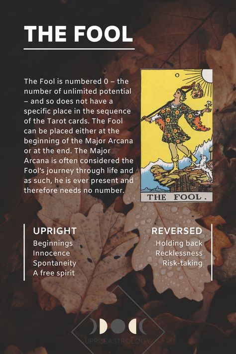 The Fool Tarot Meaning, The Fool Tarot Card Meaning, Tarot 101, Tarot Study, Astrology Love Compatibility, Horoscope Symbols, The Fool Tarot Card, Fool Tarot Card, Tarot The Fool