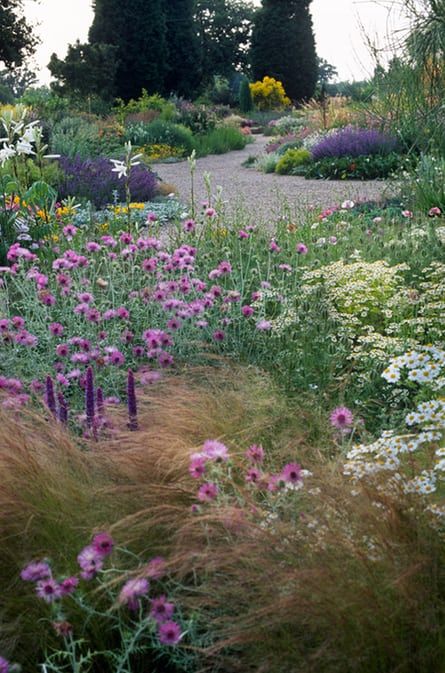 A dry summer perennial bed with gravel pathways at Beth Chatto’s garden at Elmstead, Essex. Cheap Raised Garden Beds, Low Maintenance Garden Design, Beth Chatto, Prairie Garden, Planting Design, Dry Garden, British Garden, Gravel Garden, Coastal Gardens