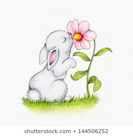 Bunny Smelling Flower, Dollar Photo, Smelling Flowers, Bunny Drawing, Photo Club, Bunny Art, Cute Easy Drawings, Art Drawings For Kids, Amazing Art Painting