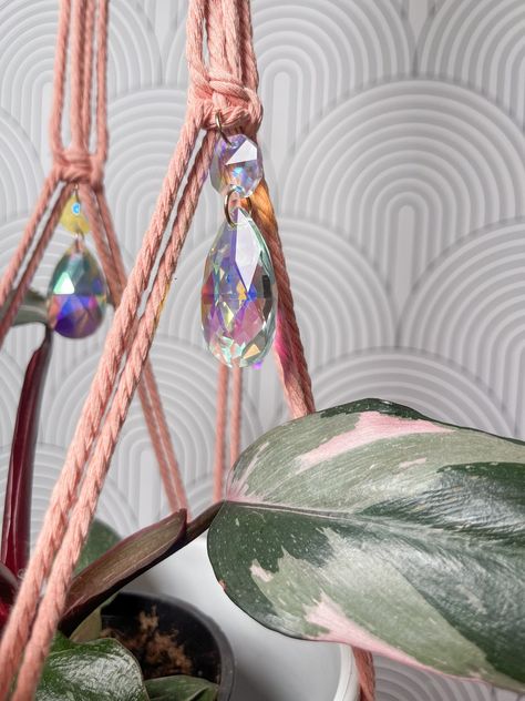 A fun and cute way to display your plants, this no tassel plant hanger features rainbow prism casting crystals. This no tassel macramé hanger is hand made with cotton rope and a wood ring. It is 30" long and can hold different sizes of pots. i It is perfect for displaying your philodendron or pothos, Hoyas or tradescantias. You can also turn it into an air plant holder! Plant Holder Macrame, Vintage Macrame Patterns, Small Macrame, Macrame Hanger, Pink Plant, Air Plant Holder, Macrame Plant Hangers, Macrame Hanging, Diy Activities